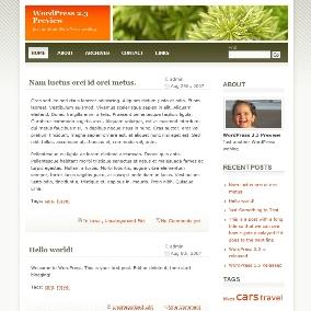 free wordpress theme
